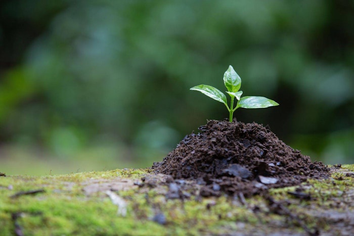 7 citações sobre meio ambiente para a redação do ENEM