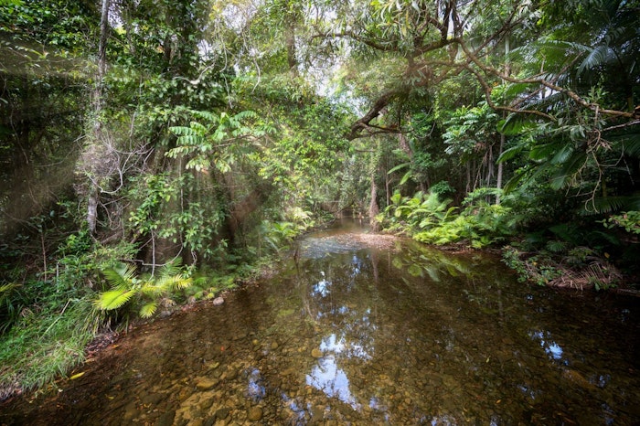 Desafios relacionados à proteção da Floresta Amazônica