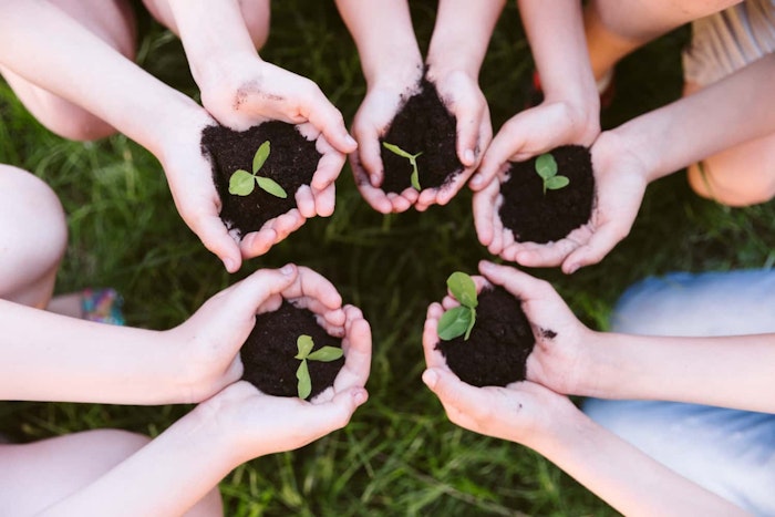 Desafios da educação ambiental na promoção da sustentabilidade no Brasil