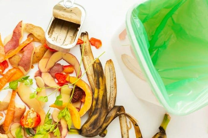 Alternativas para a diminuição do desperdício de alimentos no Brasil